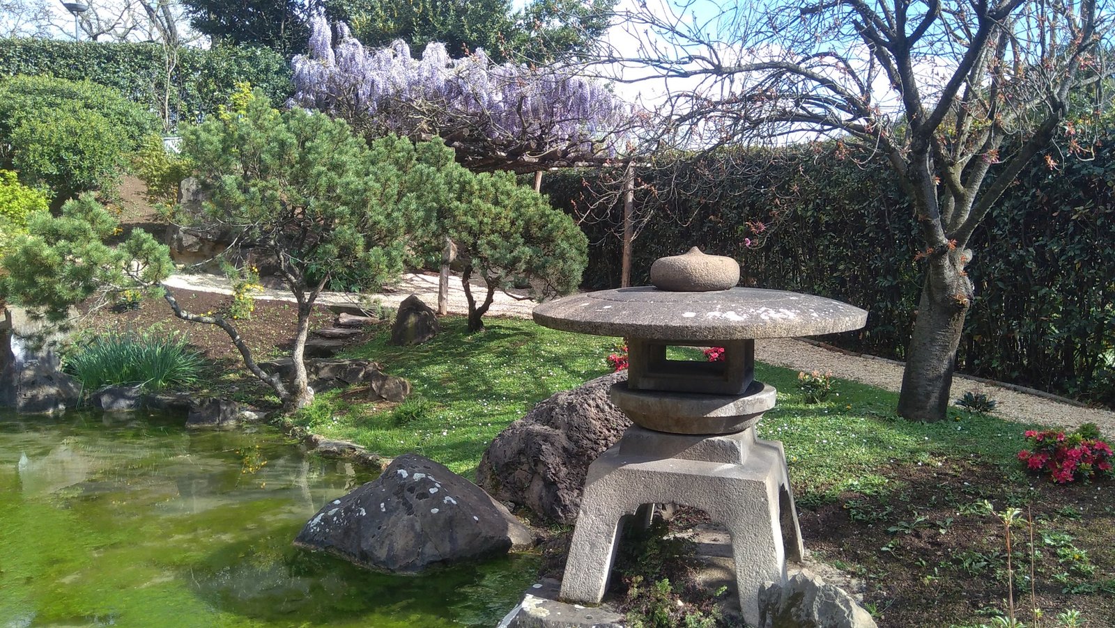 isituto giapponese culturale final