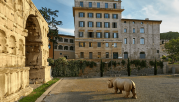 Rhinoceros