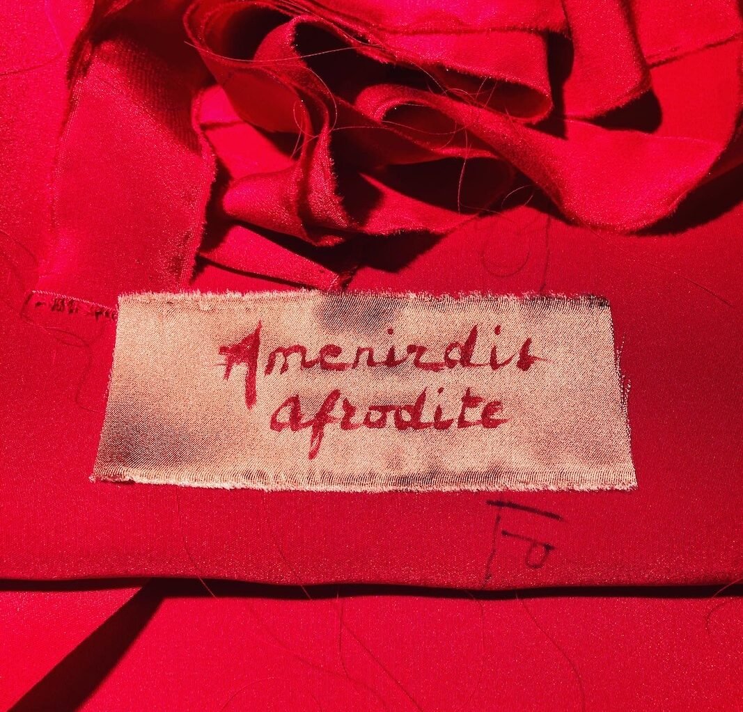 amenirdis-via-della-seta-6